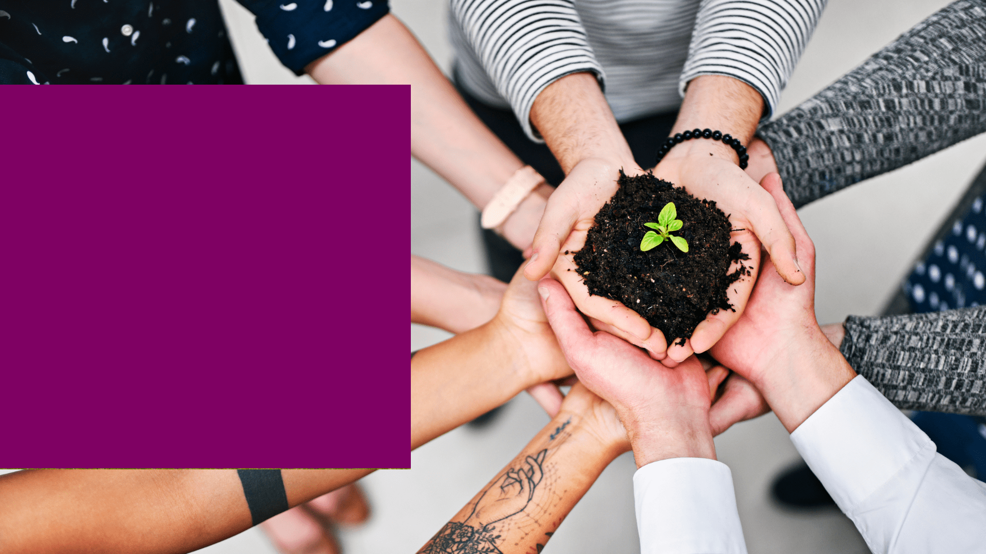 contabilidadesimultanea3